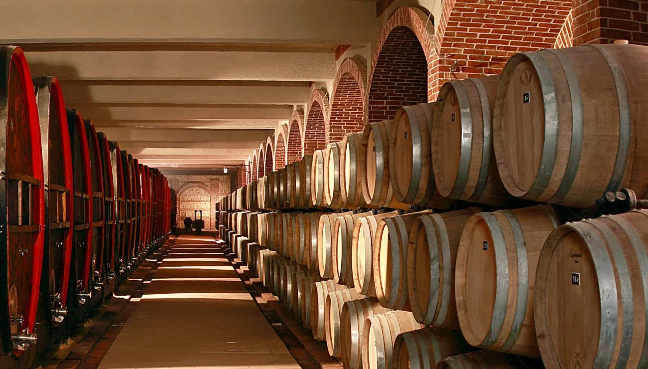 Tikves Winery - Kavadarci, Macedonia