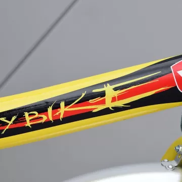 Viper City Bike
