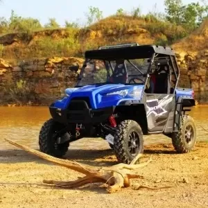 RAVAGER 1000 ATV