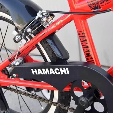 Hamachi 16