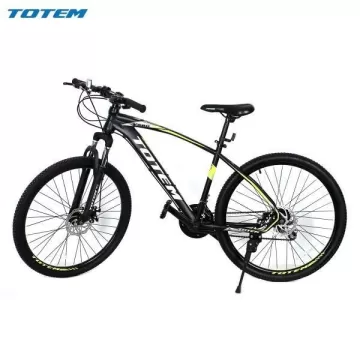 TOTEM Y580