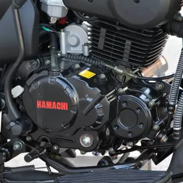 HAMACHI RENEGADE 300