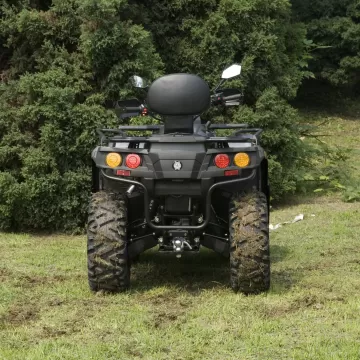 ODES ASSAILANT 850 ATV