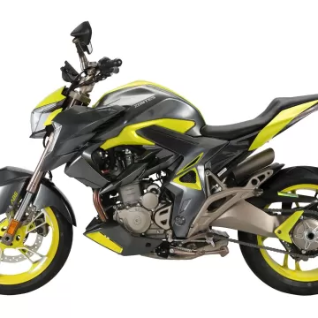 ZONTES 310 R1