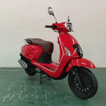 VENICE 50