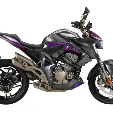 ZONTES 310 R1
