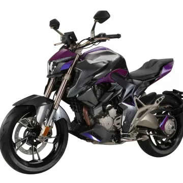 ZONTES 310 R1