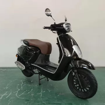 VENICE 50