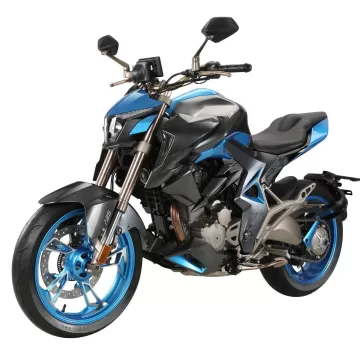 ZONTES 310 R1
