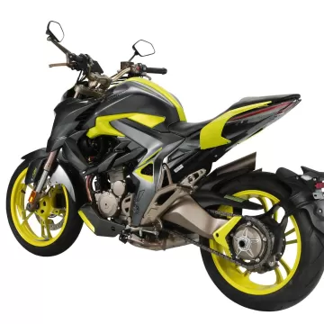 ZONTES 310 R1