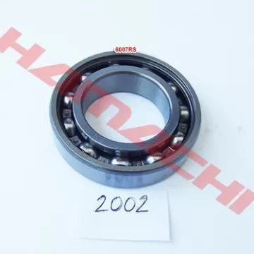 Лагер 6007 / XYS-ATV300