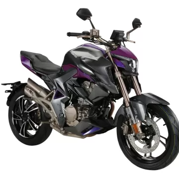 ZONTES 310 R1